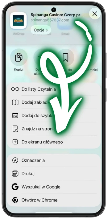 Spinanga Do ekranu głównego